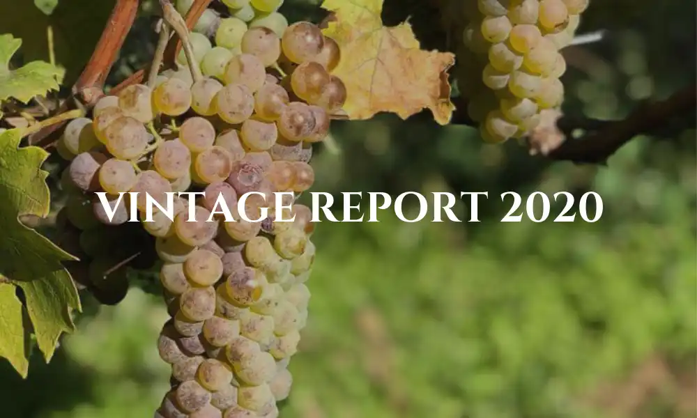 vintage report
